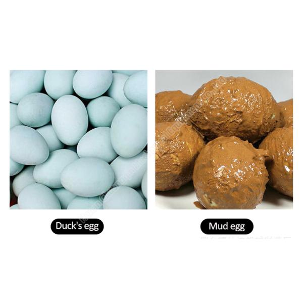 High Capacity Full Automatic Egg Washing Machine Rolling Brush Egg Washer Wear Resistance