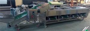 China mushroom sorting machine,mushroom grading machine,walnut sorting machine,walnut grading machine on sale