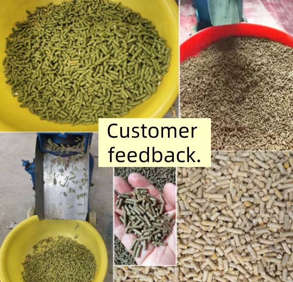Environmental Protection and Improved Digestibility Pellet Mill Machine for Animals