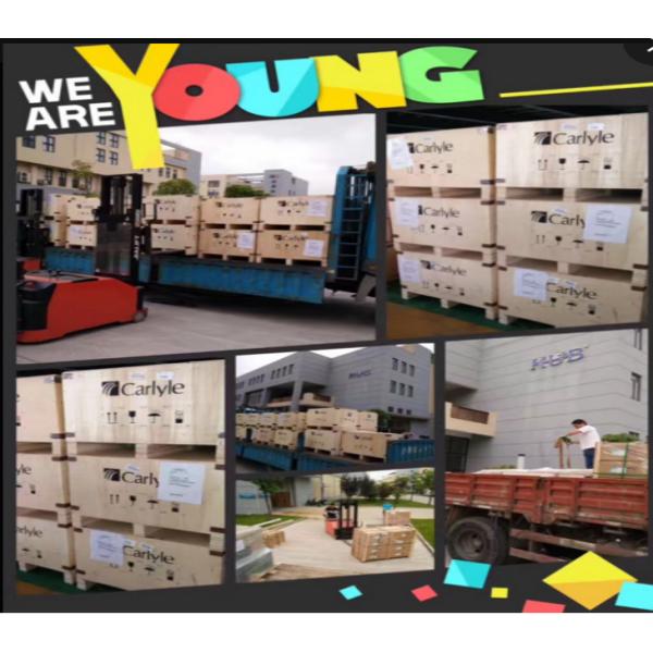 25HP Carlyle AC Compressor 06EA565600 06EA5656A0 Replacement