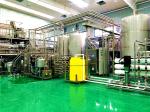 Mango Fruit Juice Processing Line With Concentrated Processing System