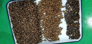 China Optical RGB CCD Coffee Bean Sorting Machine 1 Chutes on sale
