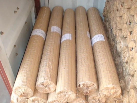 2" Galvanized Welded Wire Mesh Panel for Construction or Chicken Cage with 2mm 2.5mm 3mm Wire