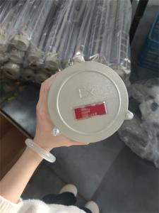 China Class 1 Div 1 Ex Proof linear Fluorescent light With ATEX IECEx RoHS CNEX ISO For Marine Offshore Facilities on sale