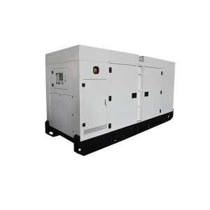 Quality 200KW 50HZ Low Noise Diesel Power Generator Set With Italy Brand FPT FPT C9 Engine for sale