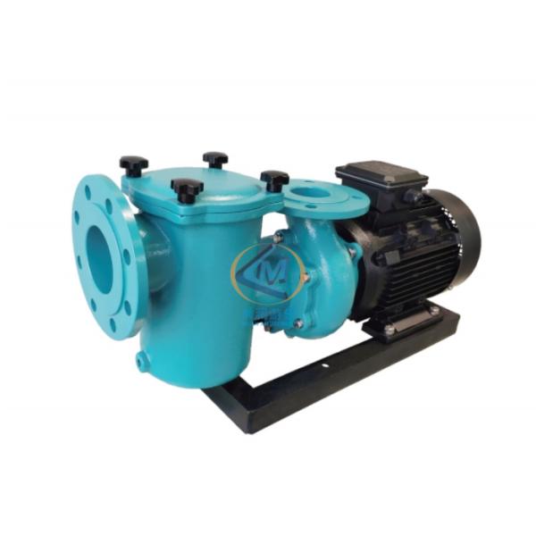 Vertical Horizontal Cast Iron Pump For Water Pool Supply Filteration System
