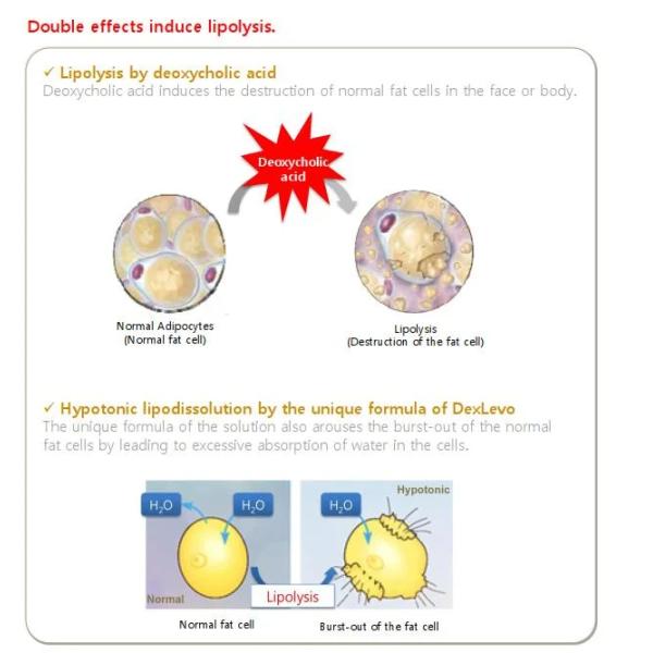 Reduce Weight Kabelline Lipolysis Solution Lipolytic Fat Dissolving