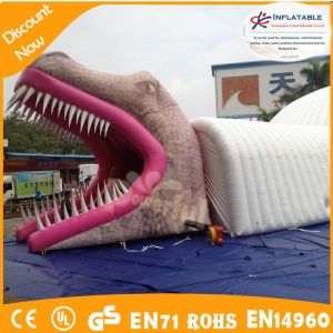 10m pvc tarpaulin Inflatable Tunnels for Events Football Inflatable Helmet