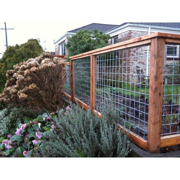Factory Price High Quality Hot Dipped Galvanized Welded Wire Mesh Farm Mesh Rolls For Livestock