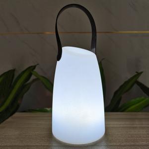 Quality Plastic Portable LED Lamp Wireless Remote Control For Garden for sale