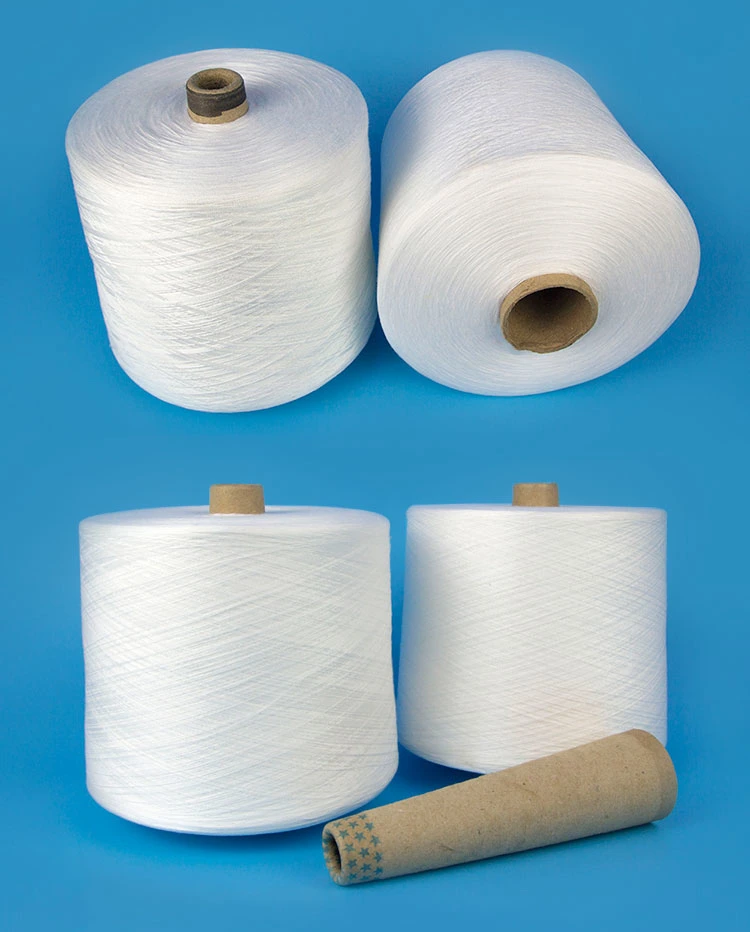 TFO 30S/3 Spun Polyester Thread Raw White Pattern for Sewing with OEKO TEX CERTIFICATE