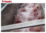 Raspberry Processing Machine Raspberry Beverage Processing Line concentrated