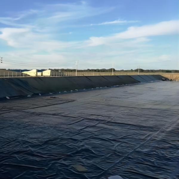 Black HDPE Geomembrane Plastic Liner for Shrimp Farm Pond Lining Geomembrane Liner