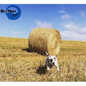 Factory Price Multi-Colored HDPE High Density Strapping Net for Grassland