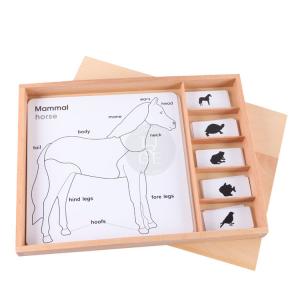 wooden montessori educational toys in china - Animal Puzzle Activity Set