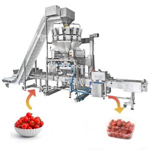 China Vegetable Fruit Multihead Weigher 2-2500g 1.6L Hopper 10 Head Multihead Weigher on sale