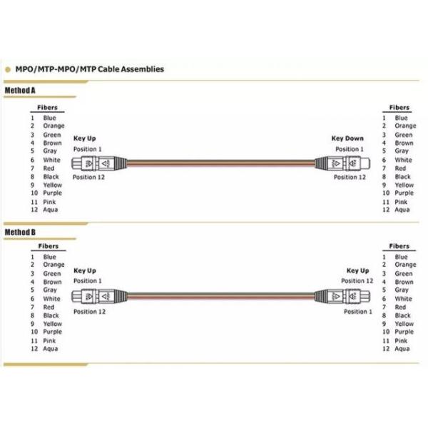 MPO MTP Patch Cord Connector 8 Core 12 Core 24 Core OM3 Fiber Optical