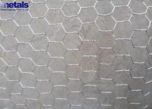 Quality Galvanized Vinyl Coated Hex Wire Fencing Poultry Netting 1/2 for sale