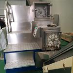 500kg/h Soap Noodles Making Machine with Refine and Extrude Function 220/380v