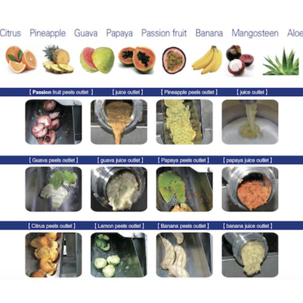 citrus juice extract machine , citrus skin remover, citrus peeler equipment