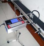 High Resolution Date Coding Equipment , Automatic Inkjet Printer For Bottle Egg