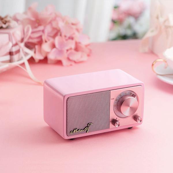Buy Portable Style Private Mold Wireless Speaker with DAB TF Card and 3.5mm Stereo Line Out at wholesale prices
