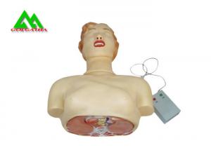 Quality Human Body Medical Teaching Models for Cardiopulmonary Resuscitation Practices for sale