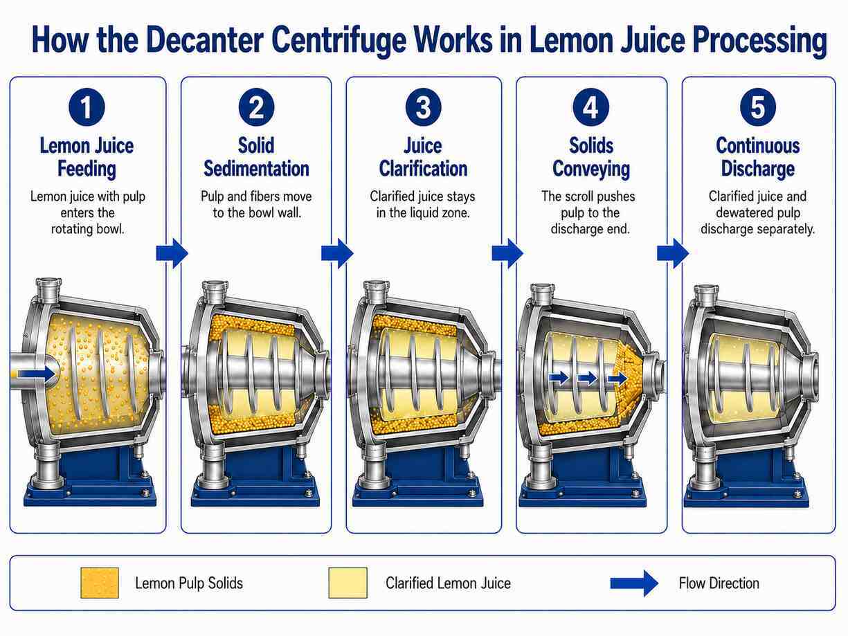 Decanter Centrifuge for Lemon Juice Processing