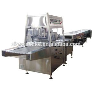 Automatic Model-1000 100~2000kgs Per Hour Chocolate Coating Machine