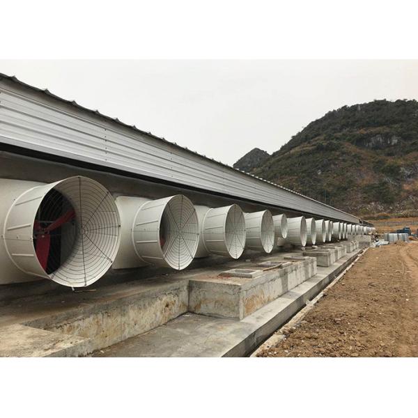 China Turn Key Project Swine Farm Complete Equipment For Pigs