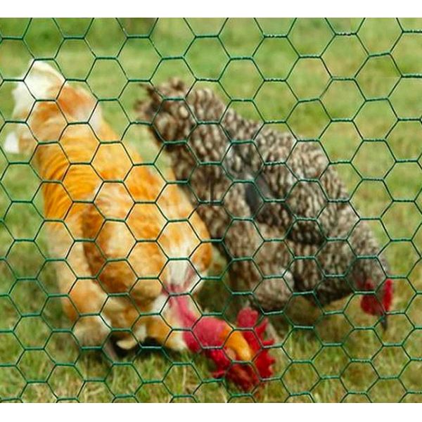 PVC Coated Hexagonal Wire Mesh Netting 1.0mm Diameter 1.5m Width For Livestock