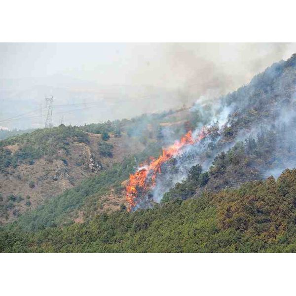 Firefighting Drone