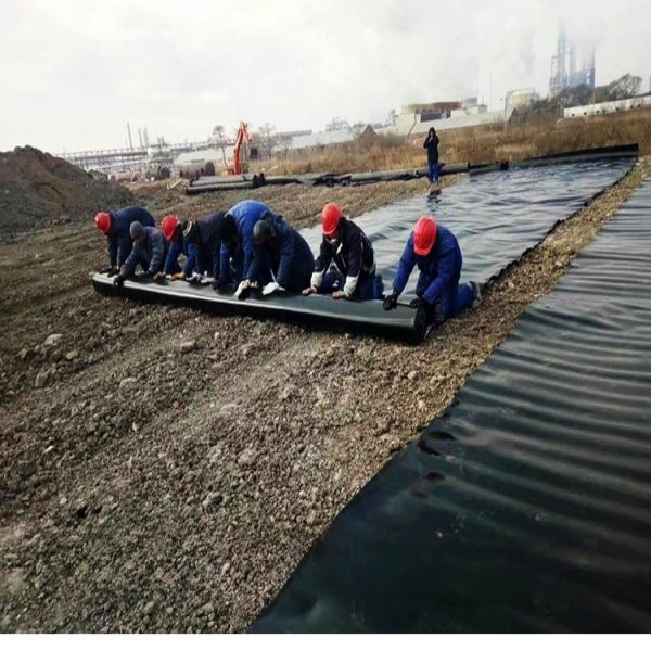 Black HDPE Geomembrane Plastic Liner for Shrimp Farm Pond Lining Geomembrane Liner