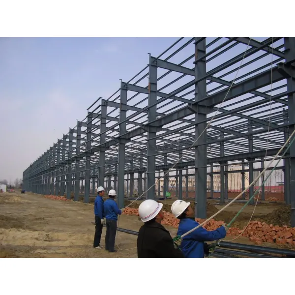 Customized Steel Structure Buildings