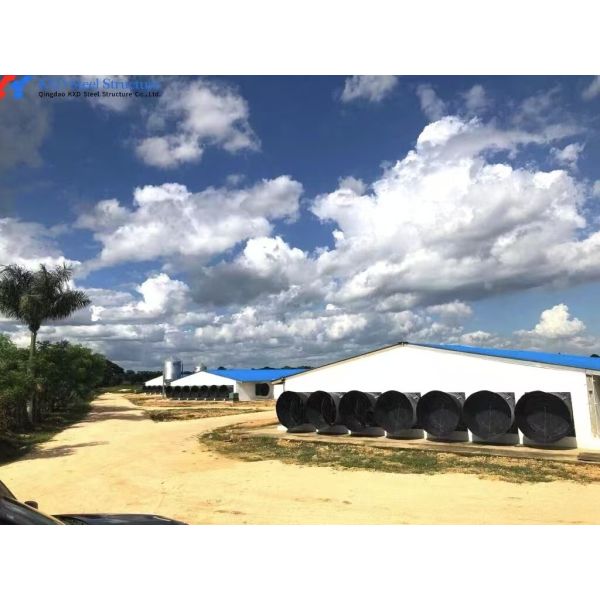Intelligent Environmental Poultry House with AI-Driven Climate Control, Real-Time Data Monitoring, and Precision Feeding System