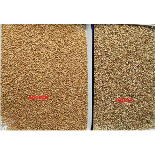 Intelligent Optical CCD Camera Barley Wheat Color Sorting Machine