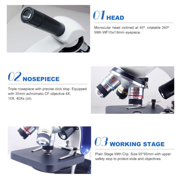 45º Inclined Monocular Compound Microscope A11.1143 With Dual Light