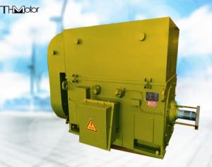 China 3kv-11kv 250r/Min AC Synchronous Motor IEC GB PMSM Motor IP00 IP20 IP21 IP23 IP44 IP54 IP55 on sale
