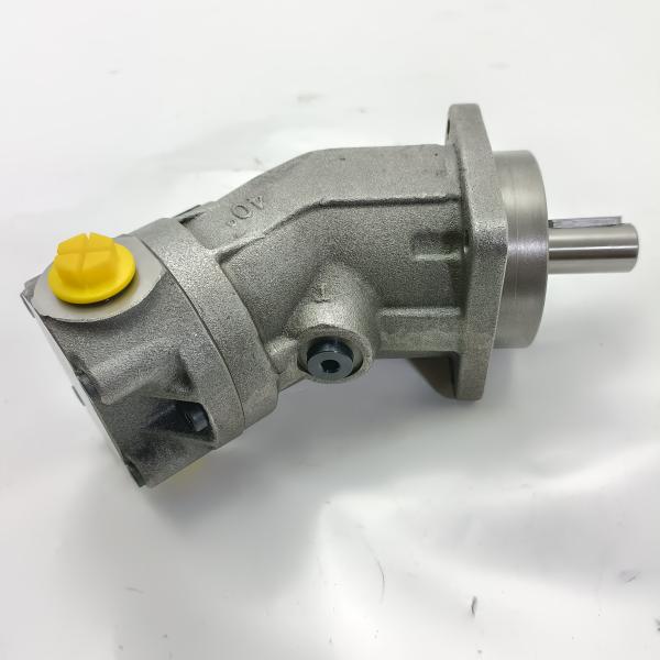 A2fo Rexroth Hydraulic Piston Pumps A2FO23/61R-PZB06 A2FO 28/61RP-PB05 A2FO16
