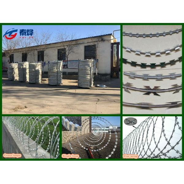 Silver Color Coiled Razor Barbed Wire , Spiral Barbed Wire Sample Avaliable