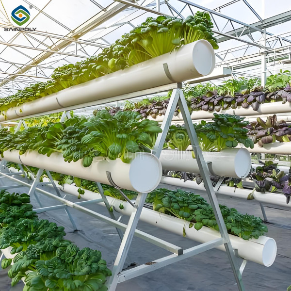 Galvanized Frame Multi Span Greenhouse With Hydroponic Growing Systems