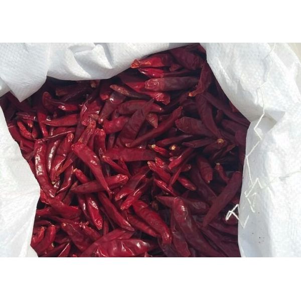 GMP Dried Red Chilli Peppers 2CM Dehydrated Lantern Pepper 2 Year Shelf Life