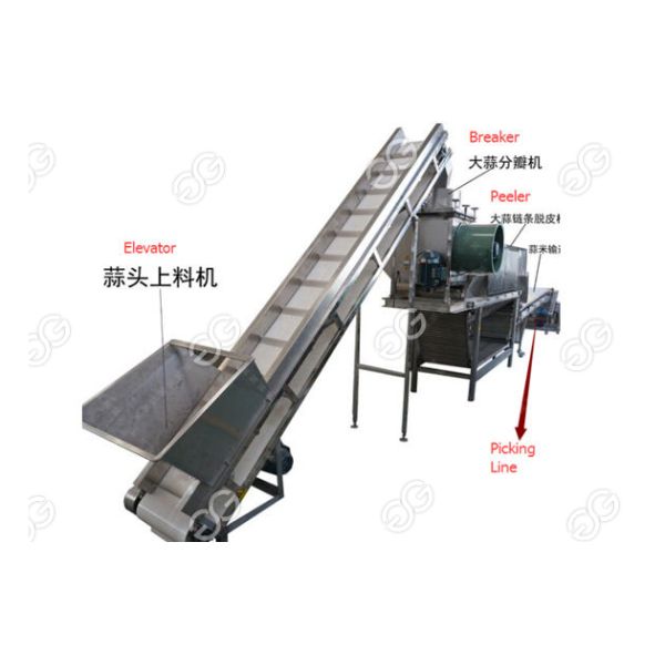 Automatic Garlic Peeling Line , Garlic Separating And Peeling Machine