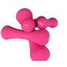 Buy cheap Neoprene Coated Dumbbell Weights,Bone Type Small Dumbbells Weight for Home and from wholesalers
