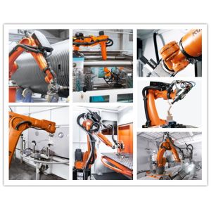 Shanghai Zhuxin  Co., Ltd.