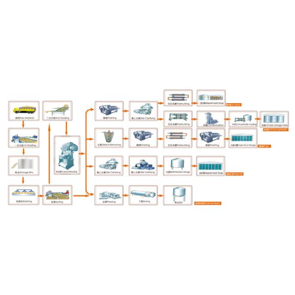220/380V Citrus Processing Equipment With CIP Cleaning System 1 Year Warranty