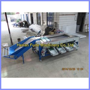 Quality date sorting machine, dates grading machine for sale