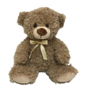 Quality Educational Function 11.8 Inch LED Plush Toy Teddy Bear Stuffed Animal for sale