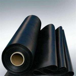 Quality Plastic Tank Liner Hdpe Geomembrane Sheet For Fish Farm for sale
