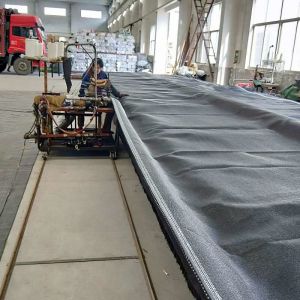 Mobile Portable PP Woven Sludge Dewatering Geotube Geotextile Bags in Container